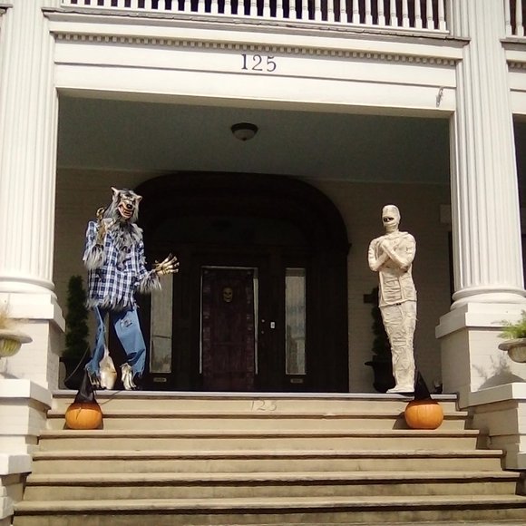 Meet your Posher, Norma Yvonne, aka, PYRETTA BLAZE - Picture 4 of 7